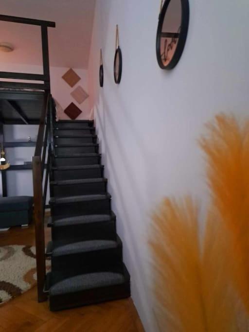 Sofia'S Home Comfy Studio In The Old Town Braşov Eksteriør billede